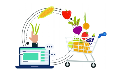 生鮮農產品電商為何難以突圍——以土特產為例