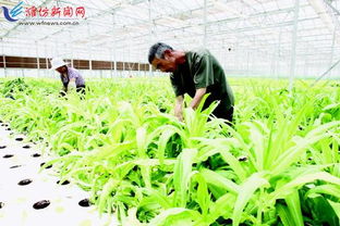 完善大監(jiān)管體系 筑牢農(nóng)產(chǎn)品安全防線